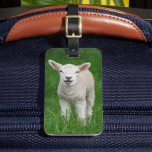 Cutest Baby Animals   Lil Lamb Luggage Tag