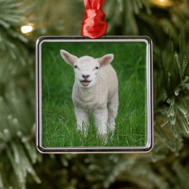 Cutest Baby Animals | Lil Lamb Metal Tree Decoration (Tree)
