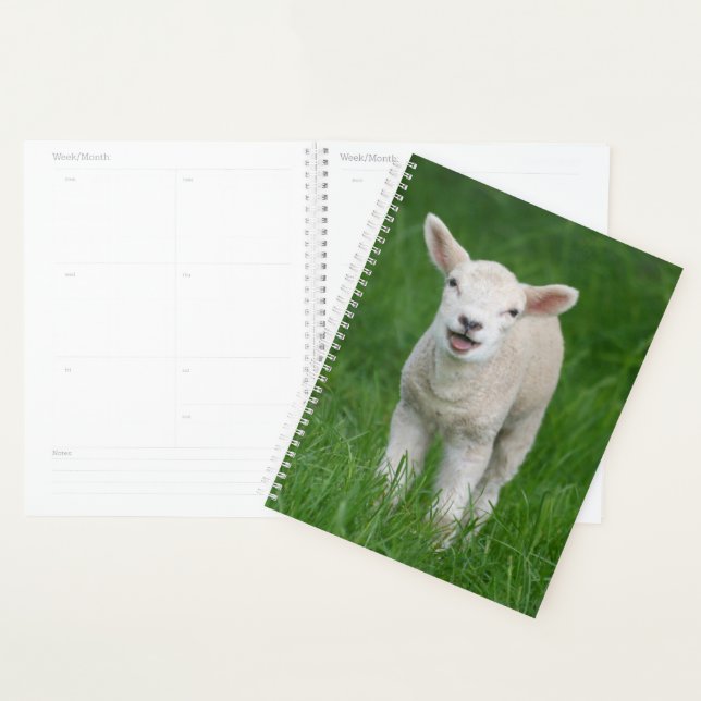 Cutest Baby Animals | Lil Lamb Planner (Display)