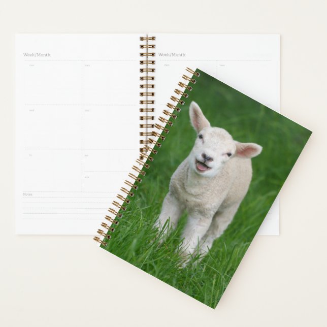 Cutest Baby Animals | Lil Lamb Planner (Display)