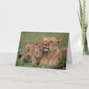 Cutest Baby Animals Lion Cub & Mother Card