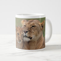 Cutest Baby Animals | Lion Cub & Mother