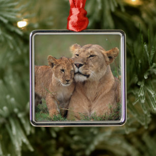 Cutest Baby Animals Lion Cub & Mother Metal Tree Decoration