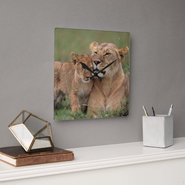 Cutest Baby Animals | Lion Cub & Mother Square Wall Clock (Office)