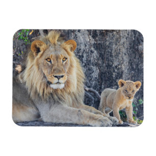 Cutest Baby Animals   Lion Dad & Cub Magnet