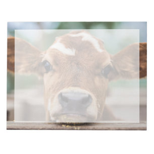 Cutest Baby Animals Little Cow Calf Notepad