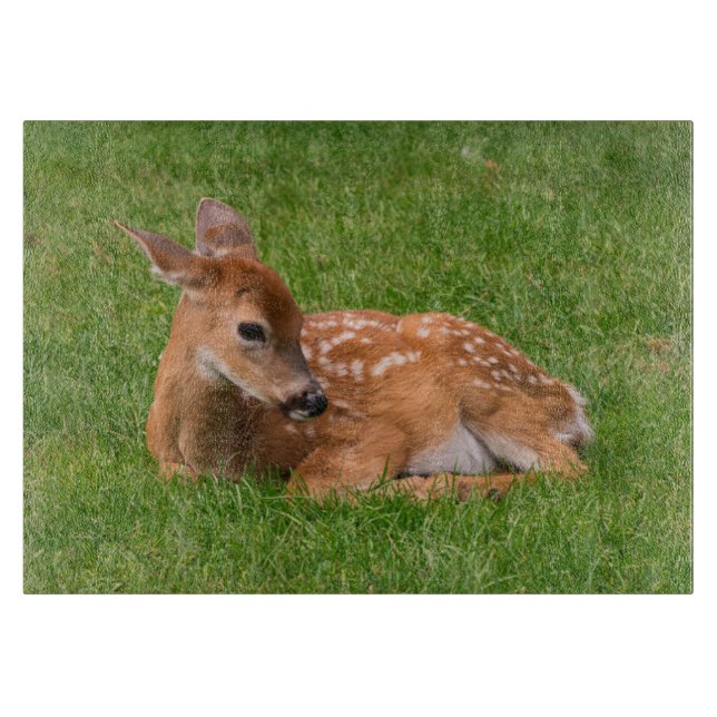 Cutest Baby Animals | Little Fawn Cutting Board (Front)