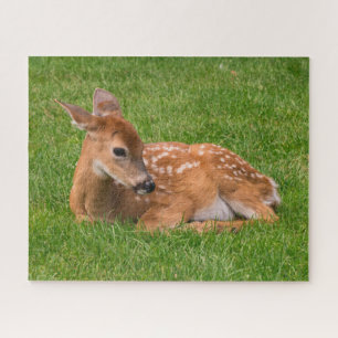 Cutest Baby Animals   Little Fawn Jigsaw Puzzle
