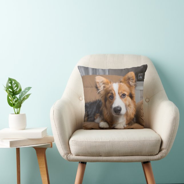 Cutest Baby Animals | Long Hair Corgi Puppy Cushion (Chair)