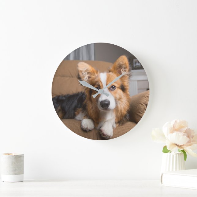Cutest Baby Animals | Long Hair Corgi Puppy Large Clock (Home)