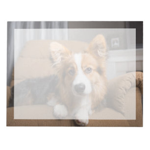 Cutest Baby Animals Long Hair Corgi Puppy Notepad