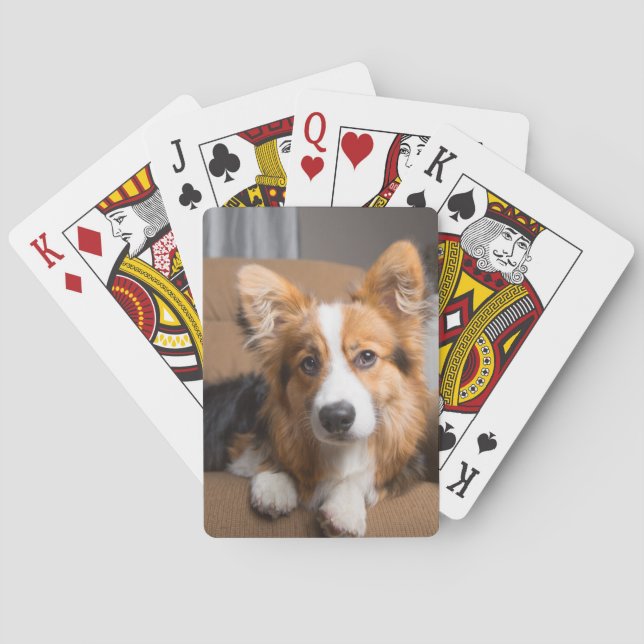 Cutest Baby Animals | Long Hair Corgi Puppy Playing Cards (Back)