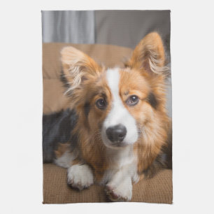 Cutest Baby Animals Long Hair Corgi Puppy Tea Towel