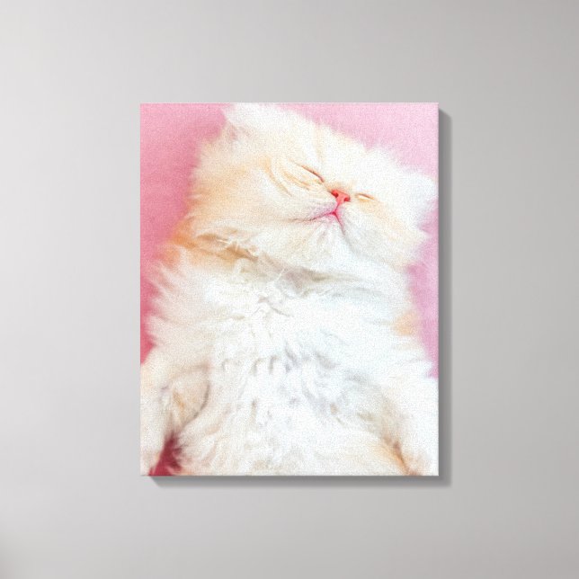 Cutest Baby Animals | Lovely Kitten Sleeping Canvas Print (Front)