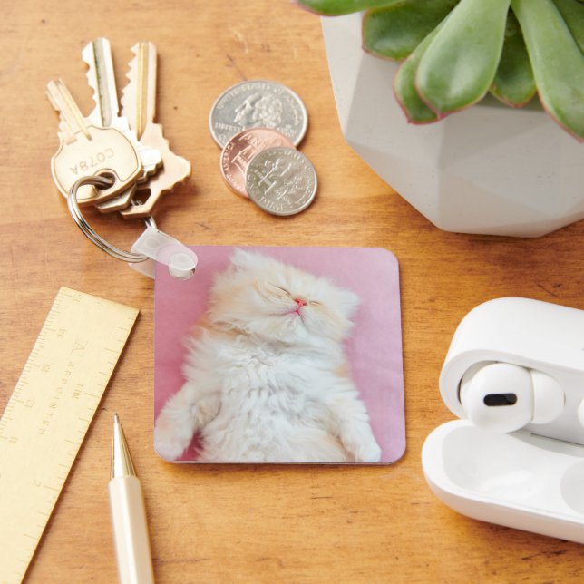 Cutest Baby Animals | Lovely Kitten Sleeping Key Ring (Desk)