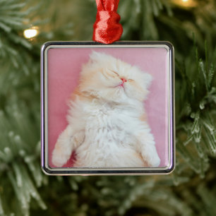 Cutest Baby Animals Lovely Kitten Sleeping Metal Tree Decoration