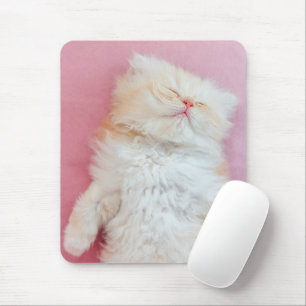 Cutest Baby Animals Lovely Kitten Sleeping Mouse Pad