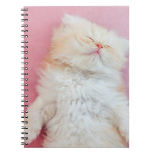 Cutest Baby Animals Lovely Kitten Sleeping Notebook
