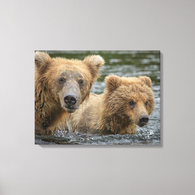Cutest Baby Animals | Mama Bear & Her Cubs Canvas Print (Front)