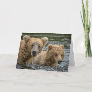 Cutest Baby Animals   Mama Bear & Her Cubs Card