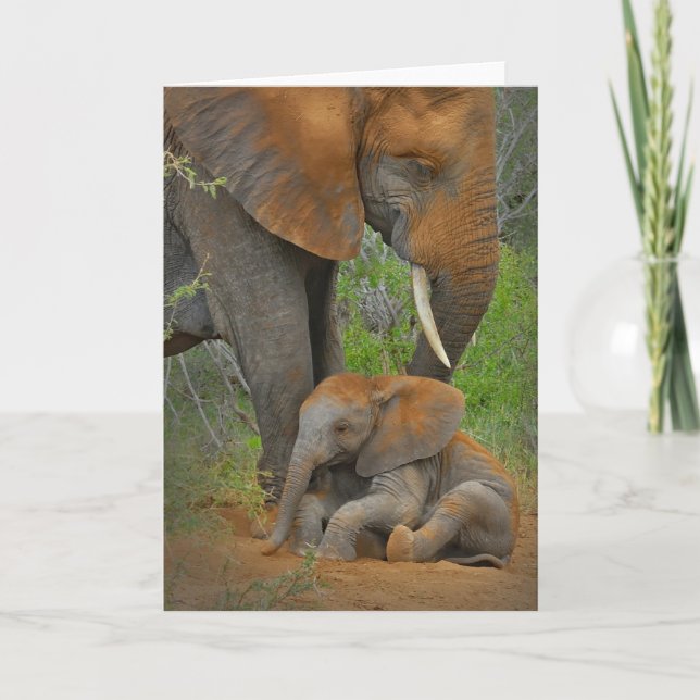 Cutest Baby Animals | Mama Elephant & Baby Card (Front)