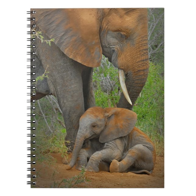 Cutest Baby Animals | Mama Elephant & Baby Notebook (Front)