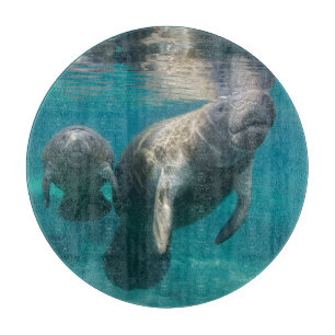Cutest Baby Animals Manatee & Baby Cutting Board