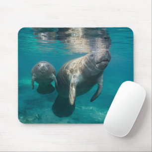 Cutest Baby Animals Manatee & Baby Mouse Pad