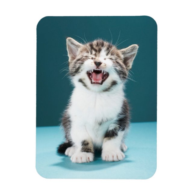 Cutest Baby Animals | Meowing Baby Kitten Magnet (Vertical)