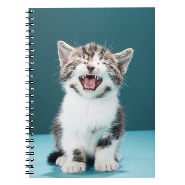 Cutest Baby Animals | Meowing Baby Kitten Notebook (Front)