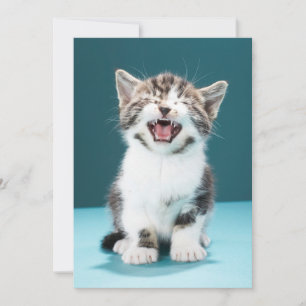 Cutest Baby Animals Meowing Baby Kitten Thank You Card