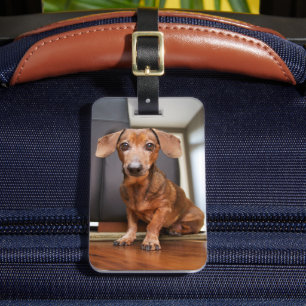 Cutest Baby Animals Mini Dachshund Puppy Luggage Tag