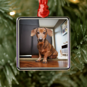 Cutest Baby Animals   Mini Dachshund Puppy Metal Tree Decoration