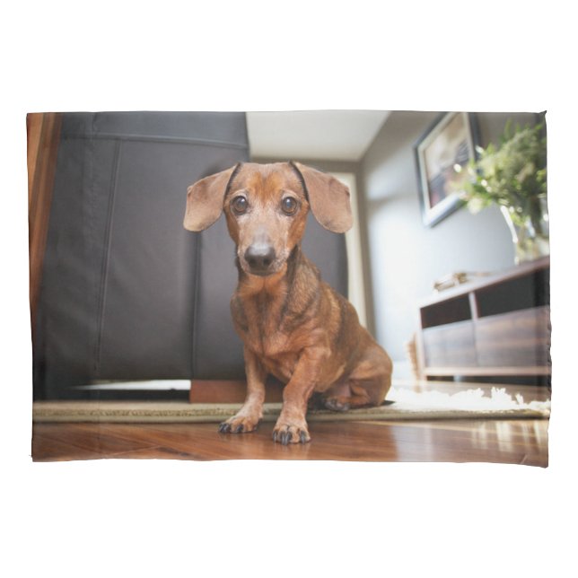 Cutest Baby Animals | Mini Dachshund Puppy Pillowcase (Front)