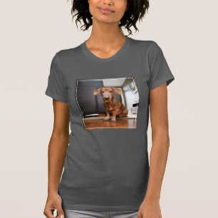 Cutest Baby Animals Mini Dachshund Puppy T-Shirt