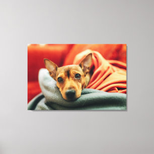 Cutest Baby Animals   Miniature Pinscher Canvas Print