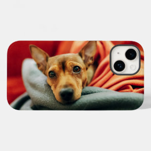 Cutest Baby Animals Miniature Pinscher Case-Mate iPhone 14 Case