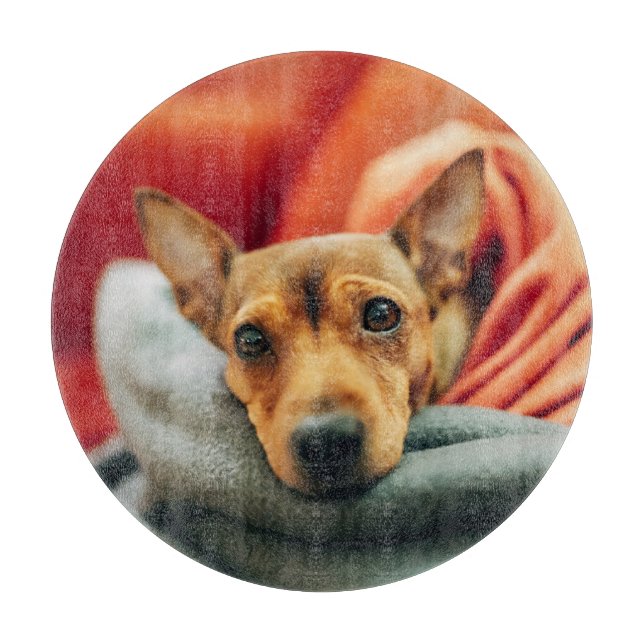Cutest Baby Animals | Miniature Pinscher Cutting Board (Front)