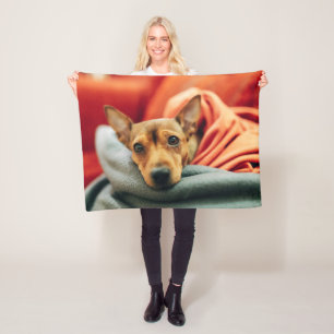 Cutest Baby Animals   Miniature Pinscher Fleece Blanket