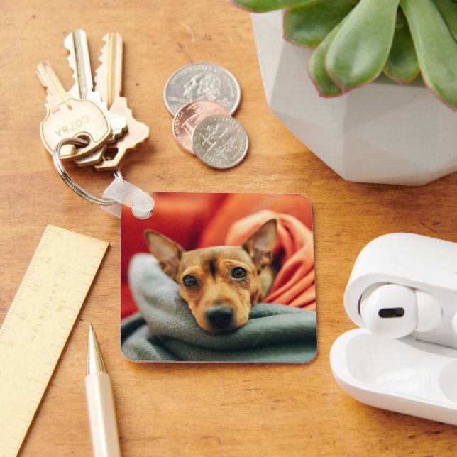 Cutest Baby Animals | Miniature Pinscher Key Ring (Desk)
