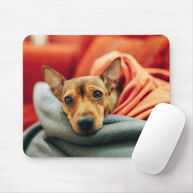 Cutest Baby Animals | Miniature Pinscher Mouse Pad (With Mouse)