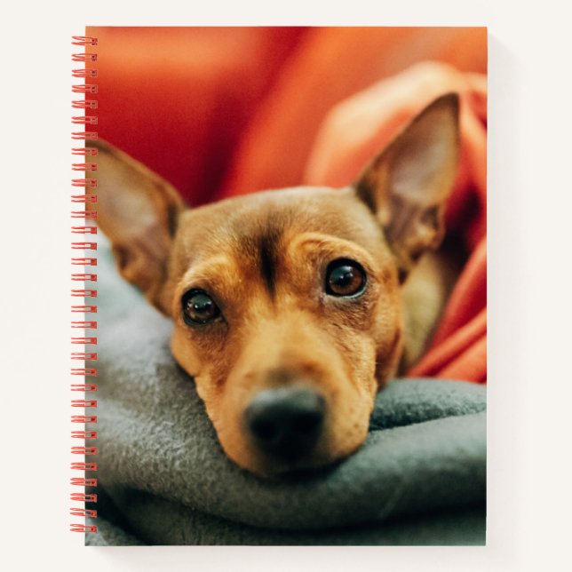 Cutest Baby Animals | Miniature Pinscher Notebook (Front)