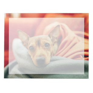 Cutest Baby Animals Miniature Pinscher Notepad