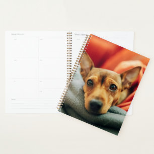 Cutest Baby Animals   Miniature Pinscher Planner
