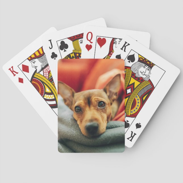 Cutest Baby Animals | Miniature Pinscher Playing Cards (Back)