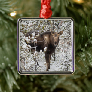 Cutest Baby Animals   Moose Calf Metal Tree Decoration