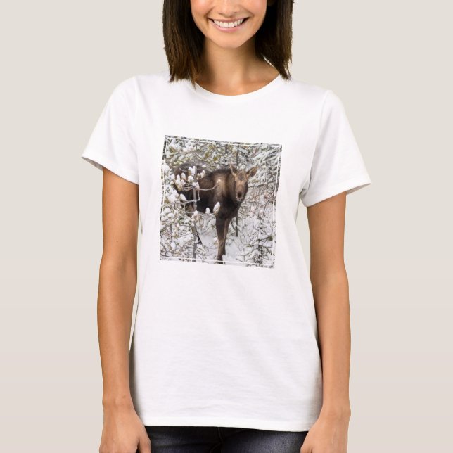 Cutest Baby Animals | Moose Calf T-Shirt (Front)