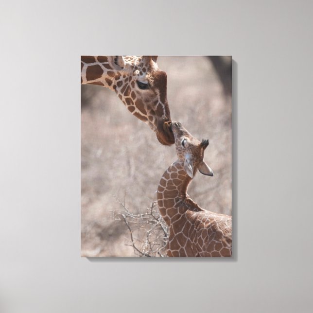 Cutest Baby Animals | Mother and Baby Giraffe Canvas Print (Front)