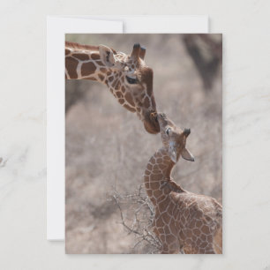Cutest Baby Animals Mother and Baby Giraffe Thank You Card