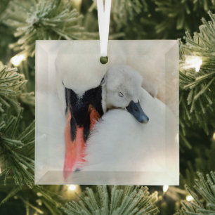 Cutest Baby Animals Mother & Baby Mute Swan Glass Tree Decoration
